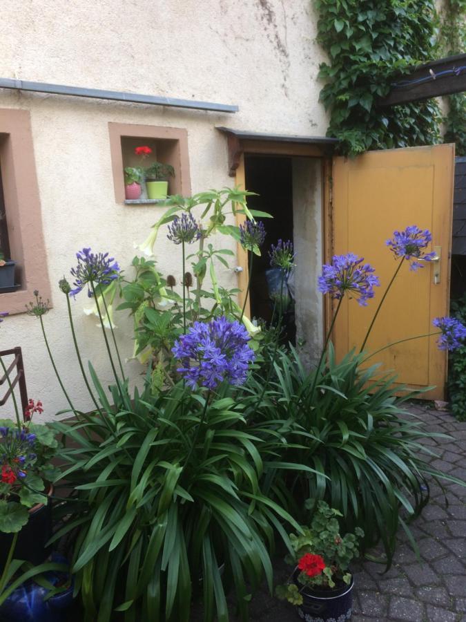 Otterbau Apartment Belgern-Schildau Bagian luar foto